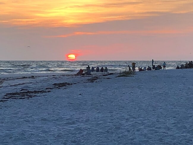 Building Photo - Charming 2/2 Seasonal Rental in Sarasota – Minutes from the Beach! Private Courtyard Included!!