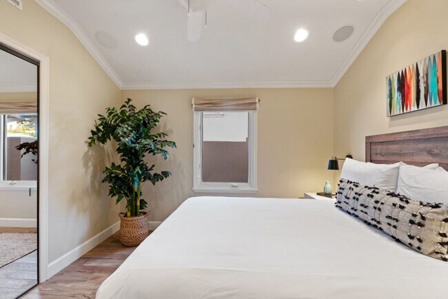 Building Photo - Stunning, Luxury La Jolla Shores Location with Panoramic Ocean Views!!