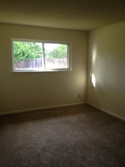 Building Photo - Recently Remodeled Four Bedroom Rosemont Home with Large Backyard!