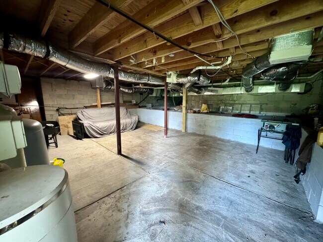 Basement - 32 S Lake Cortez Dr