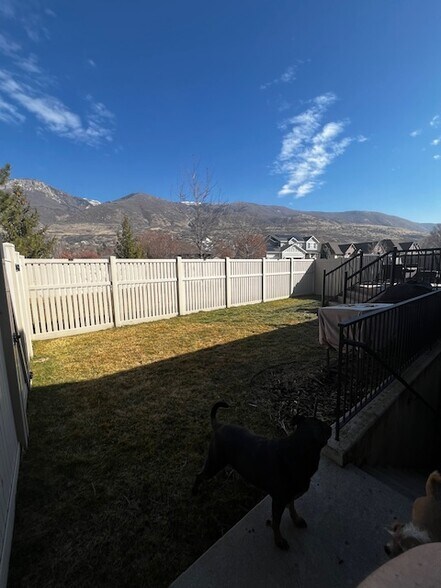 Backyard - 739 S Rice Rd