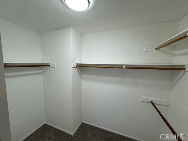 Building Photo - 2590 Taylor Ave