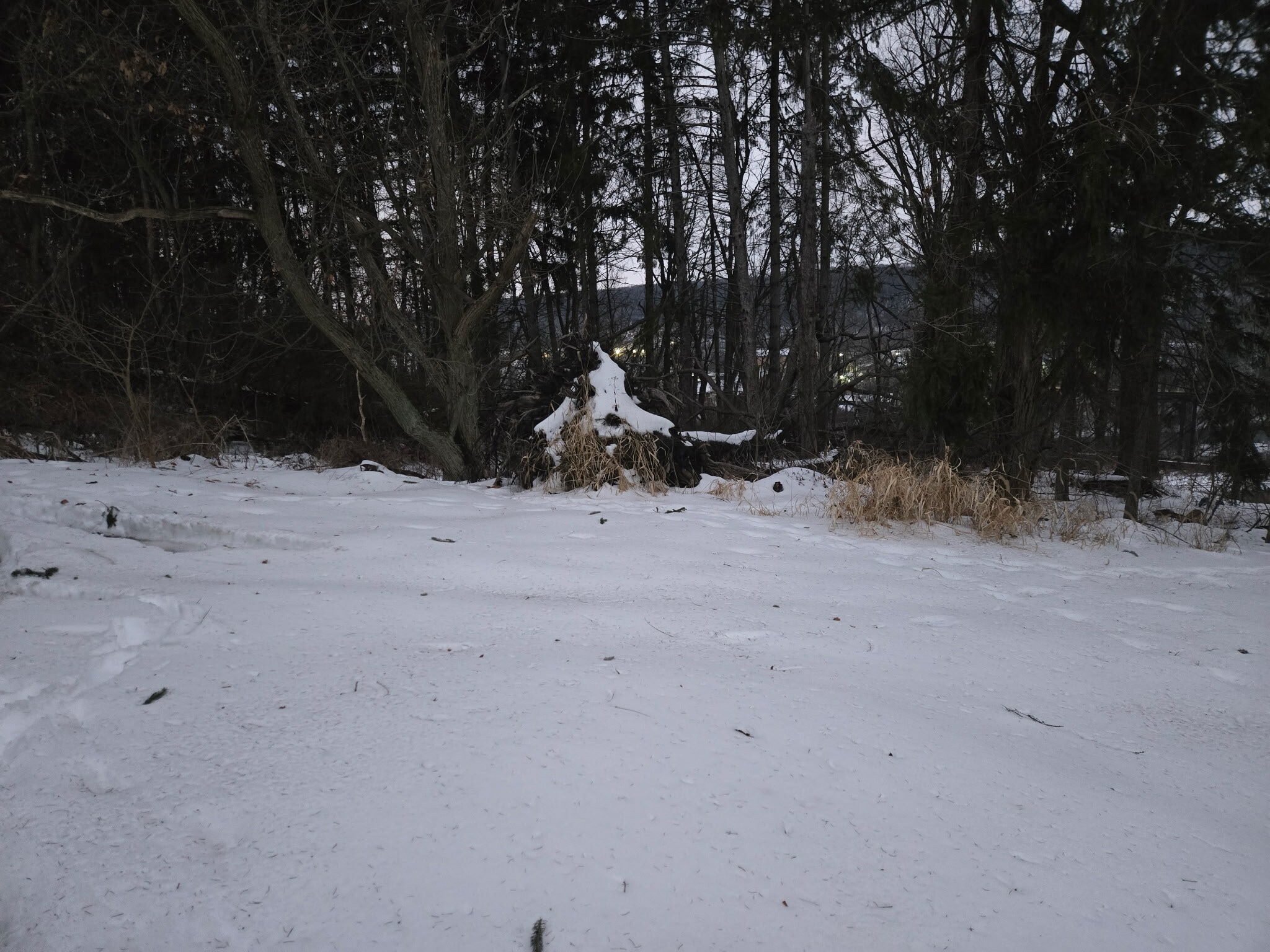 Building Photo - 1708 Moravia St