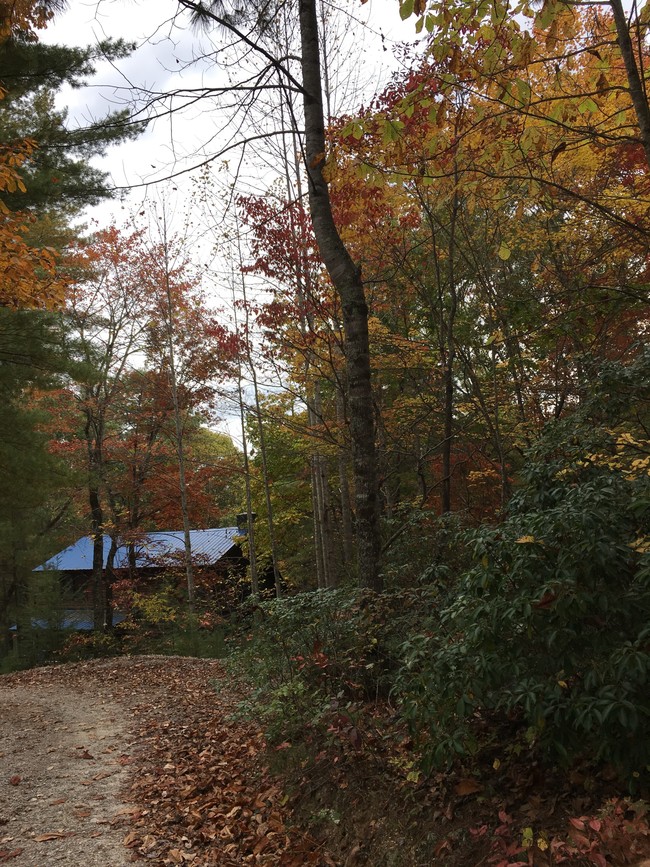 Building Photo - Fall Creek Cabins