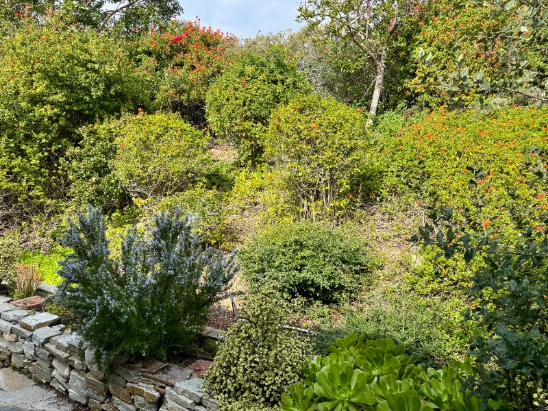 Building Photo - 4627 Cordoba Way