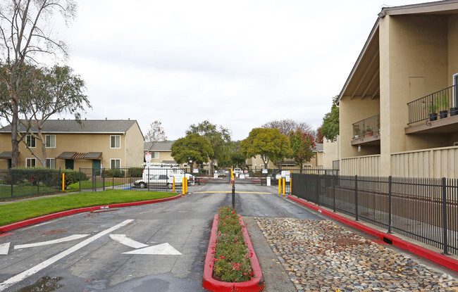 Building Photo - Las Casitas Apartments