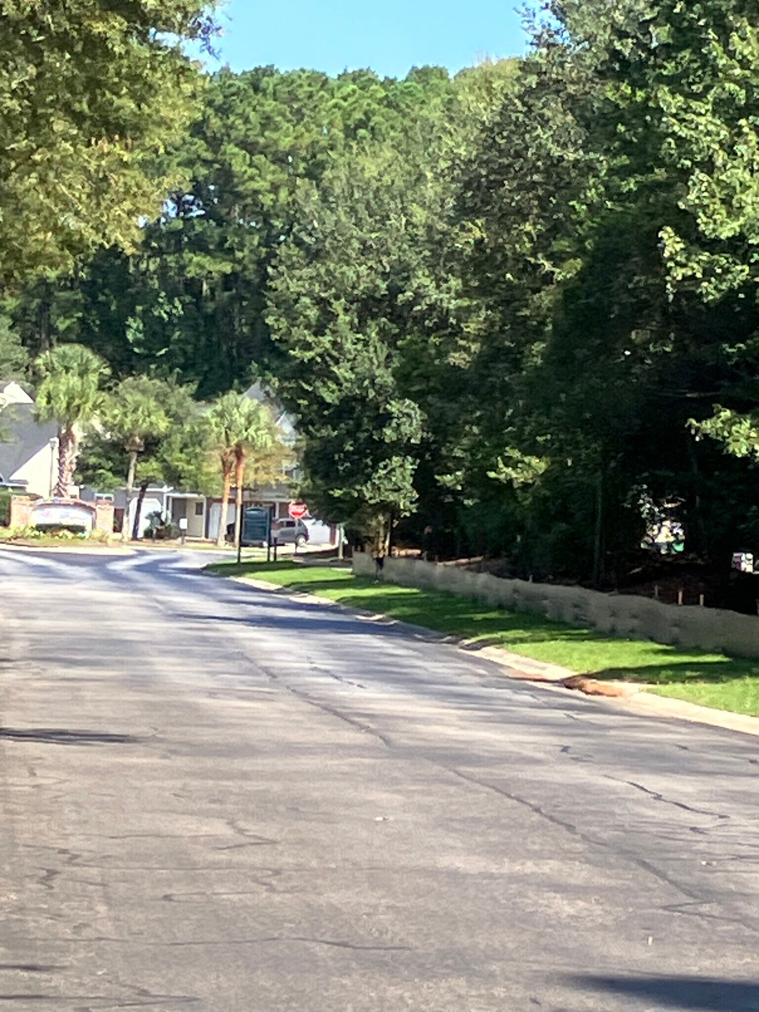 Main Entrance - 119 South St