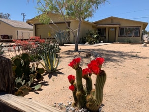 Building Photo - 6186 Chia Ave