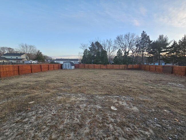 Backyard - 2260 Ellwood Ave