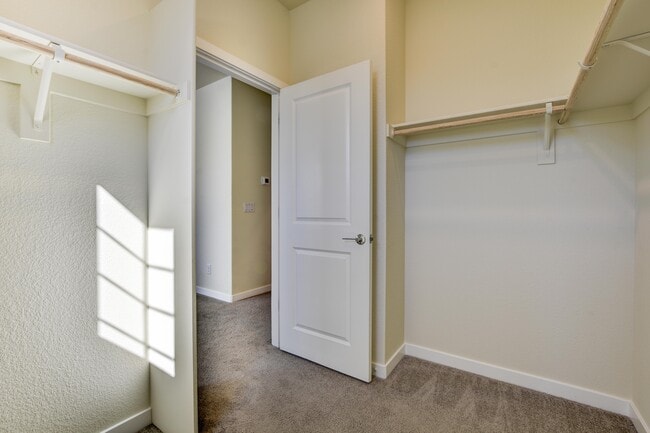 Building Photo - 3525 Sparrow Ct