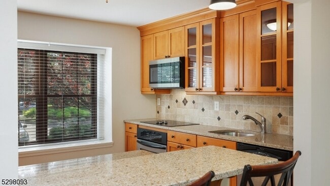 Building Photo - 209 Amherst Ct