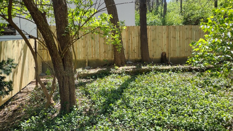 Building Photo - 20 Greenwood Ave