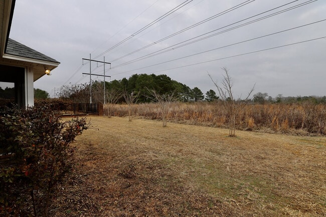 Building Photo - 513 Waterlily Dr