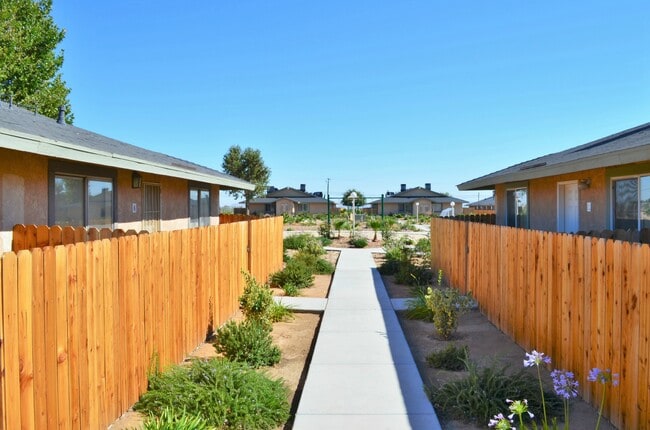 Primary Photo - Desert Luna Apartments