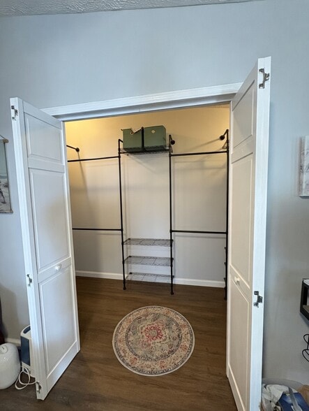 Master Closet - 3017 Fernleaf Dr