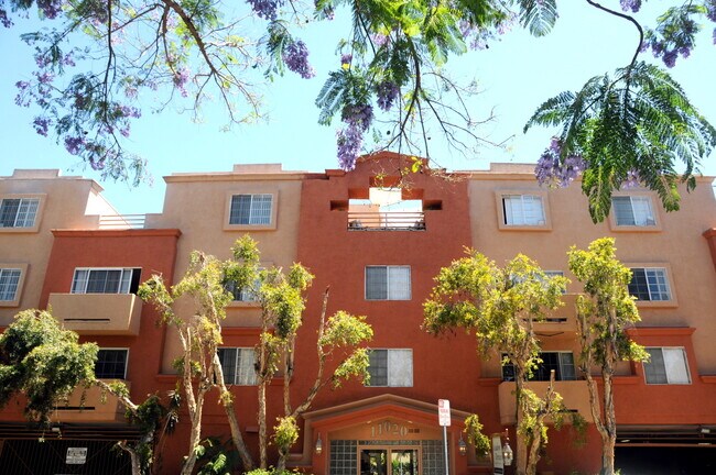 Primary Photo - Academy Terrace