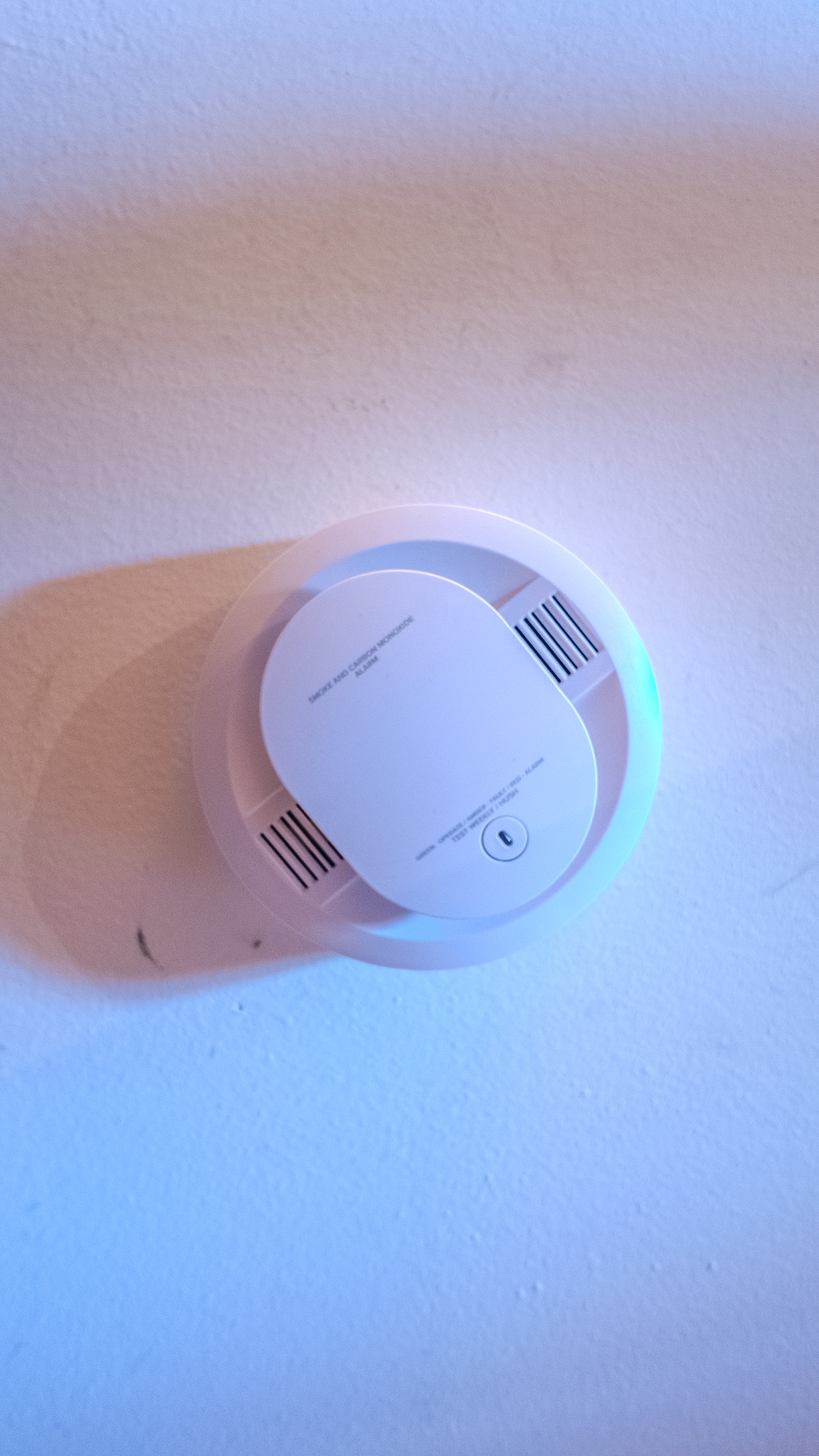 Building Photo - 1239 N Commonwealth Ave