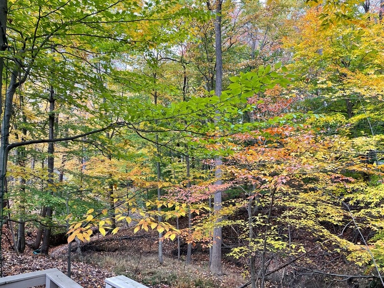 Building Photo - 12275 Moss Ridge Cir