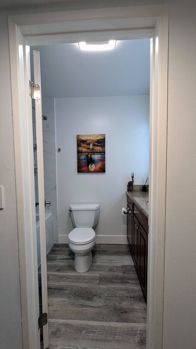 Hallway Bathtoom - 1605 Hotel Cir S