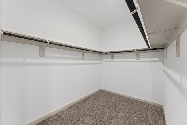 Building Photo - 12512 Newport Arch Ln