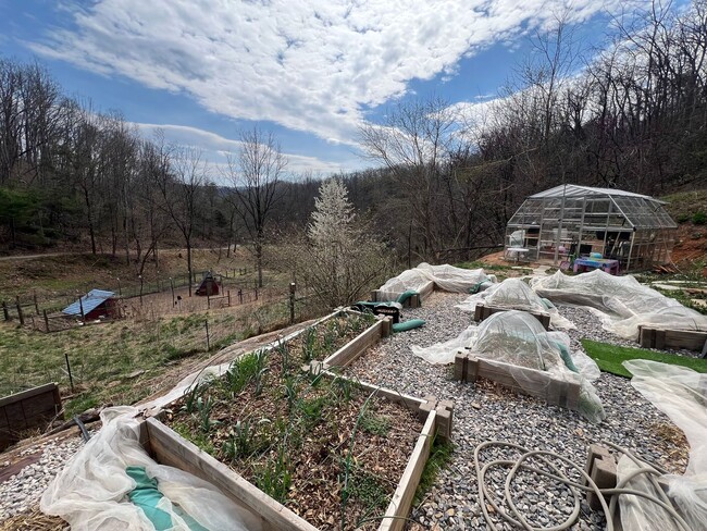 Building Photo - Live the Hobby Farm Dream in Shawsville, VA!