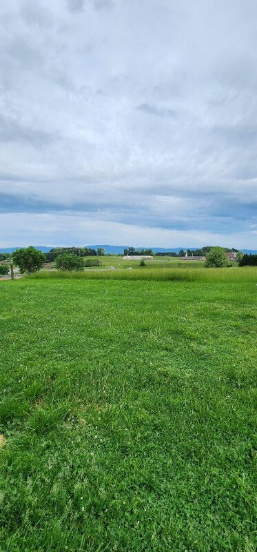 Building Photo - 262 Patterson St