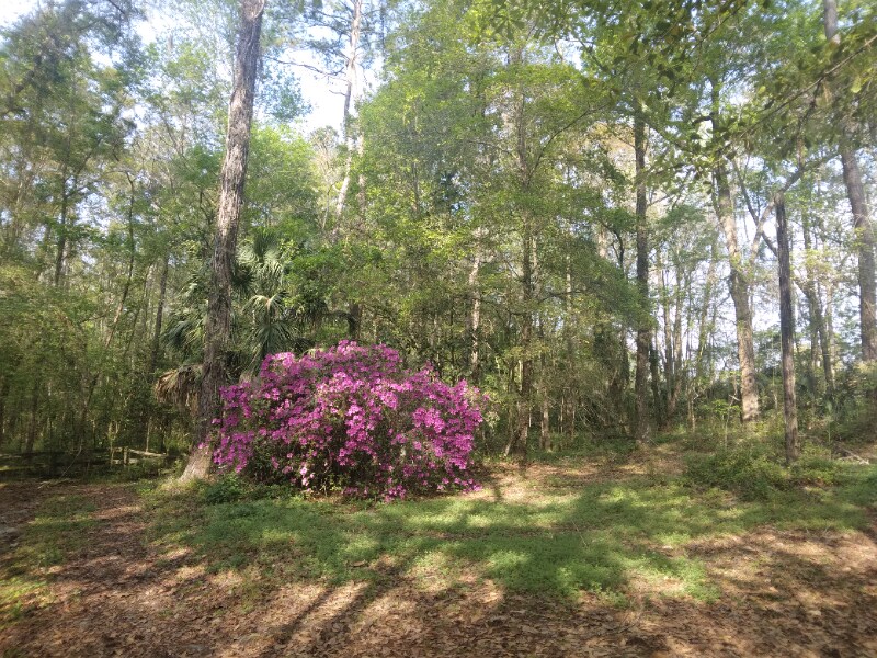 Building Photo - 8035 NW 120th St