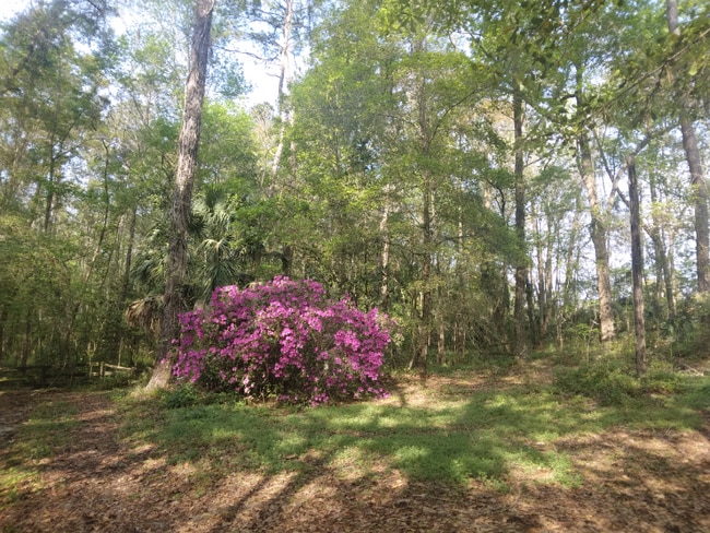 Building Photo - 8035 NW 120th St