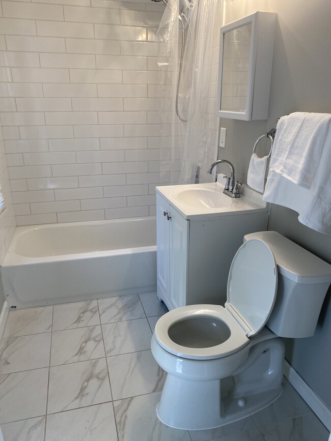 Fully upgraded full bathroom - 565 pennington ave