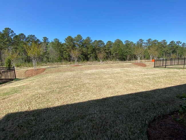 Building Photo - Brand new construction home in the desirable Brunswick Forest subdivision