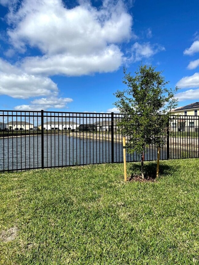 Building Photo - William Preserve-908 Anna Place Davenport, FL 33837