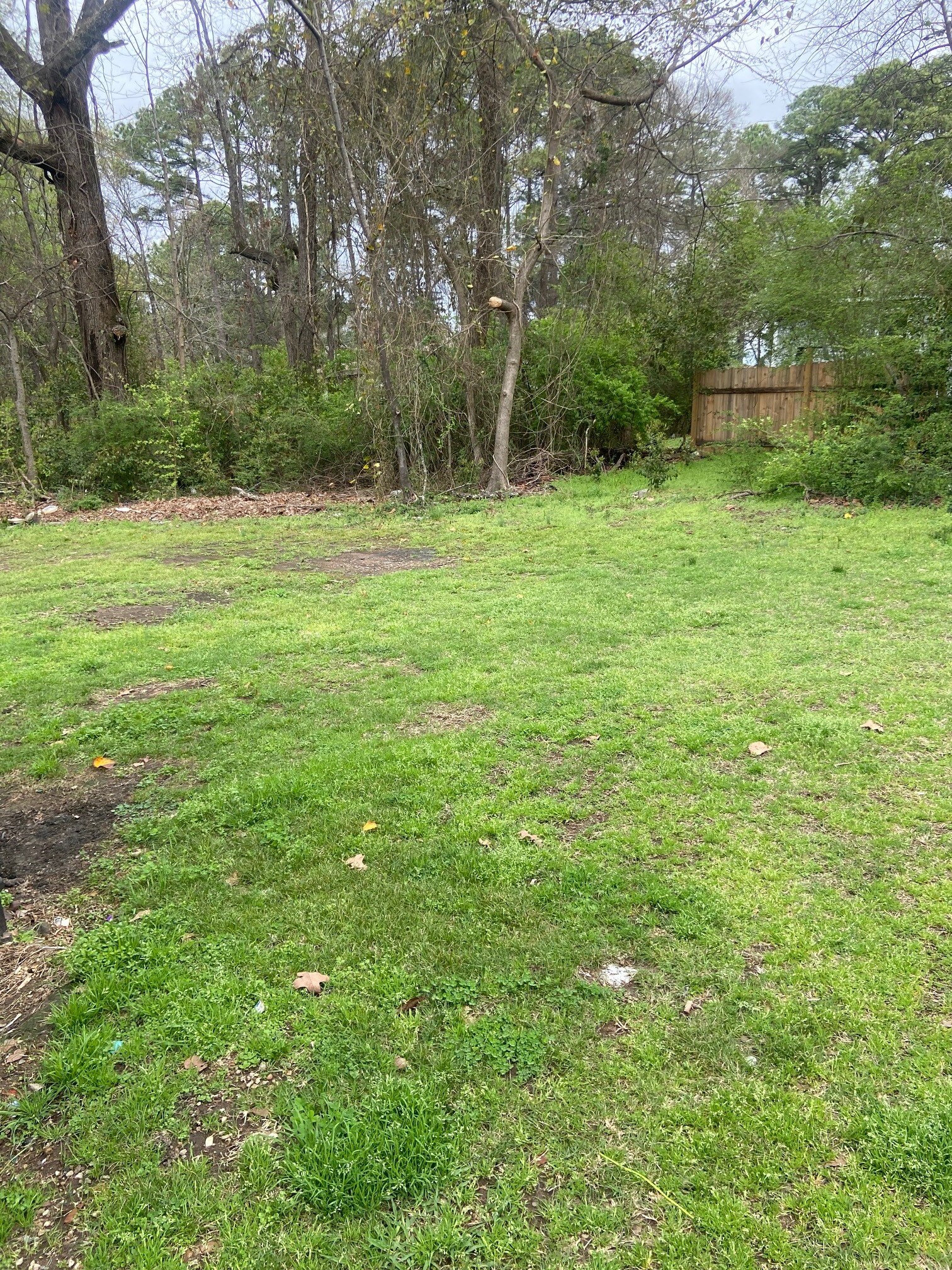 Building Photo - 228 15th Ave SW