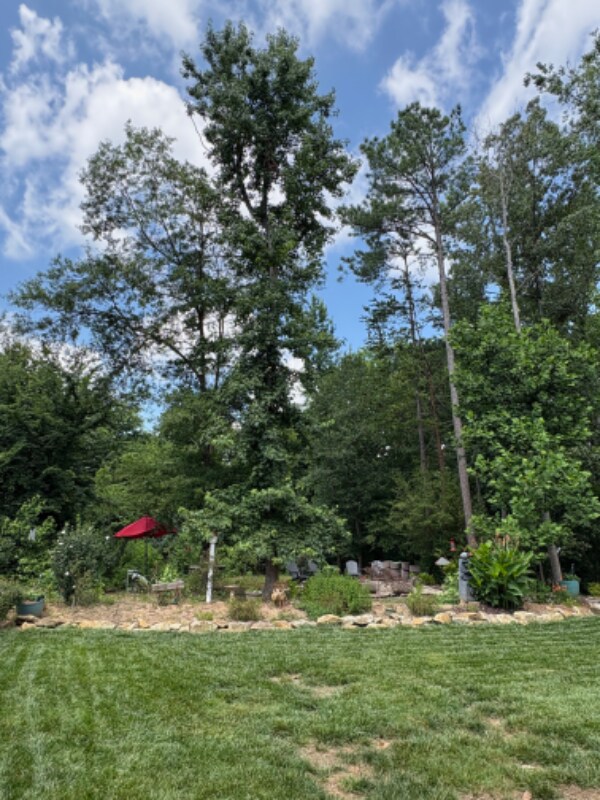 Building Photo - 4563 Osprey Run Ct