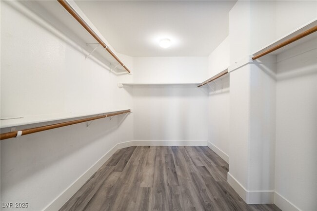 Building Photo - 1533 Sabatini Dr