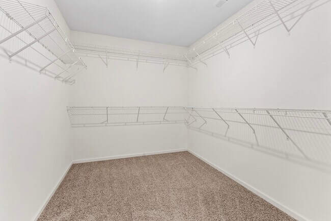 Primary walk-in closet - 7882 W 105th Pl