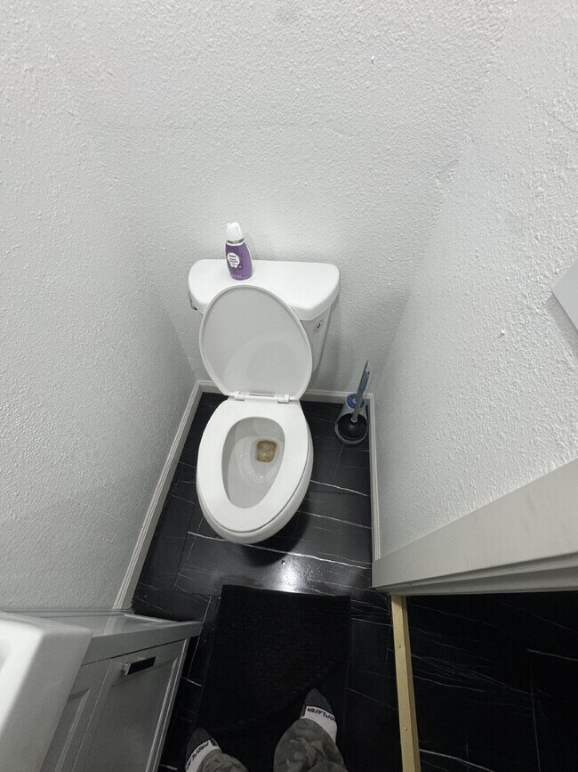 Building Photo - 521 Hoyt St