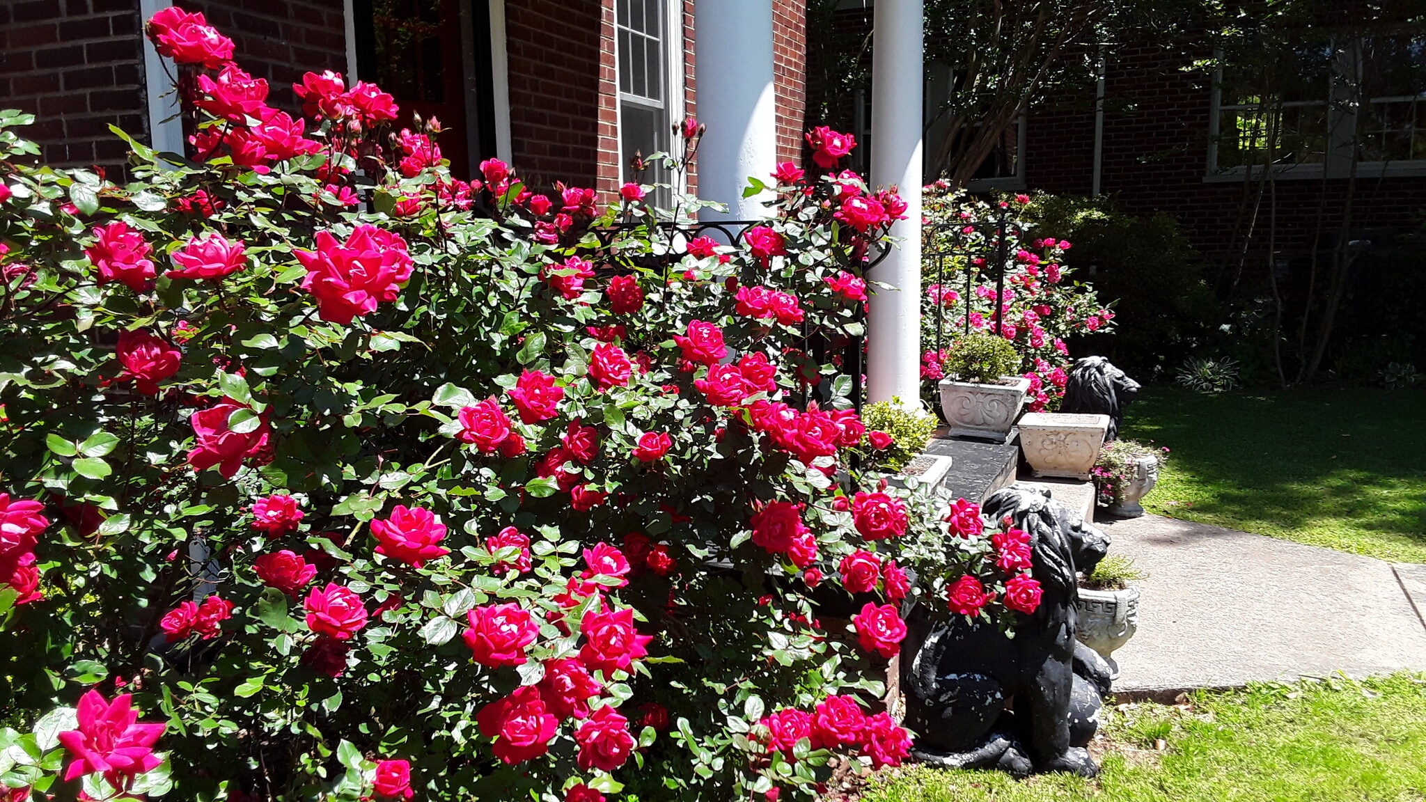 Building Photo - 313 Parkway St