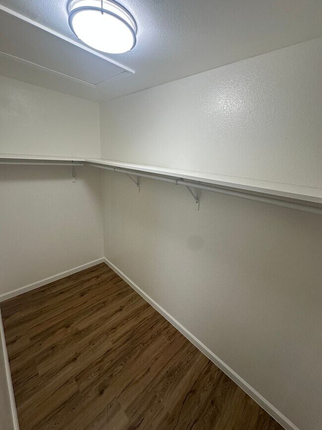 Building Photo - 547 De Leon Dr