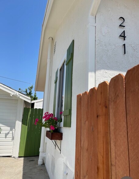 Side Entrance - 241 Joy St