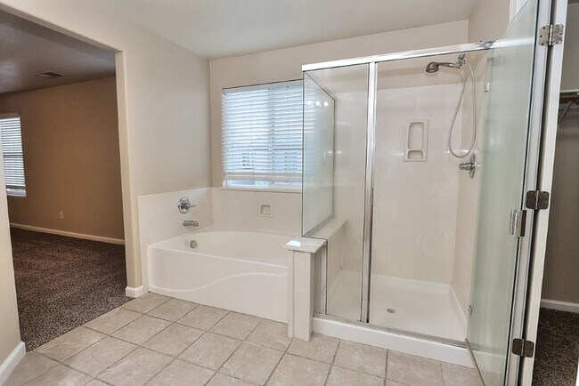 Building Photo - Beautiful 4 Bed 3 full bath Natomas Home!!