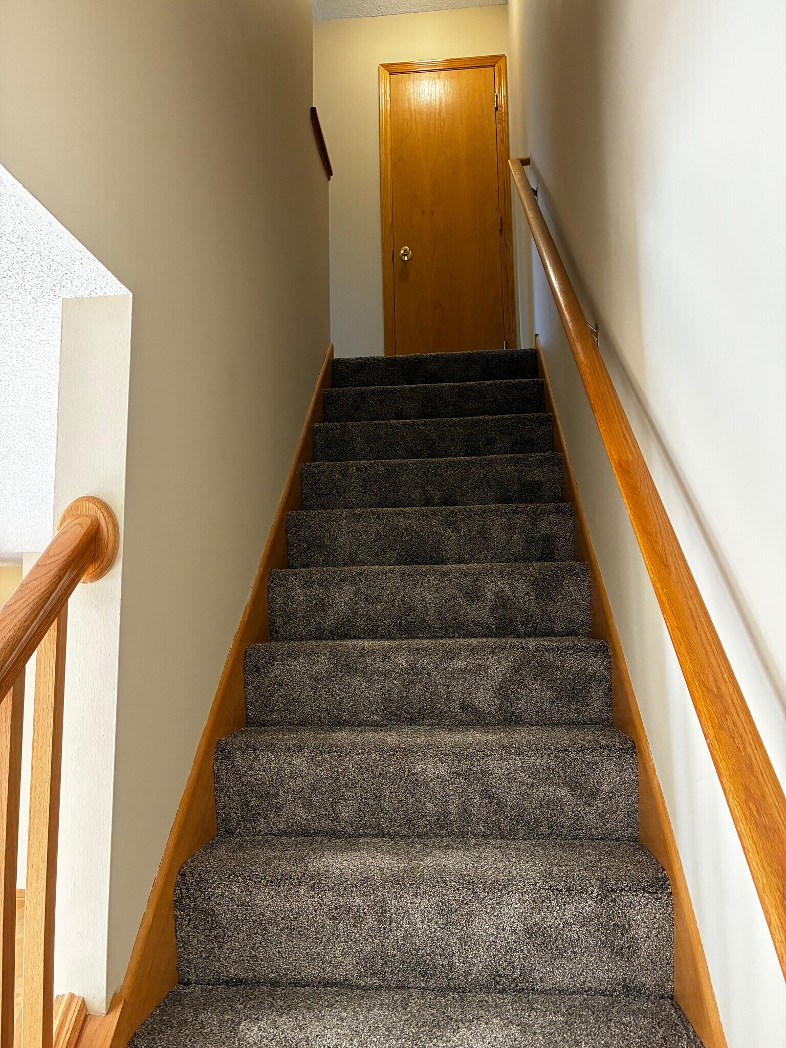 Building Photo - 1238 Larkspur Ln