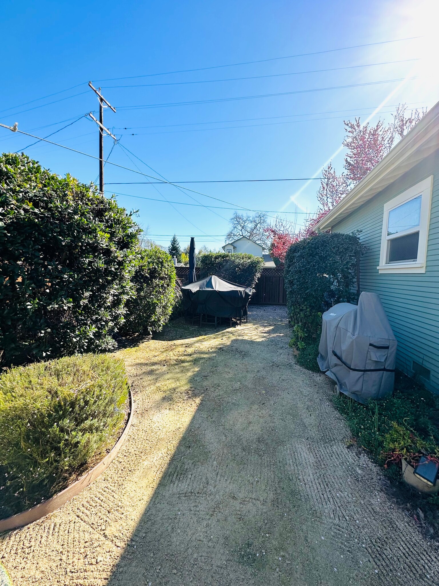 Back yard - 504 Montgomery St