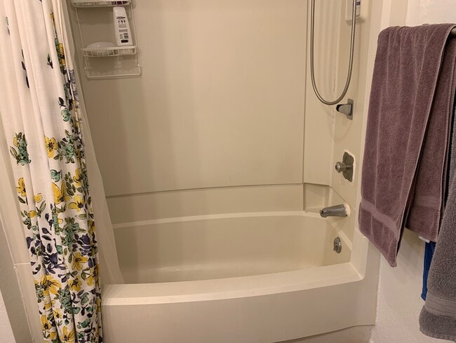 main bathroom - 8112 145th Ct NE