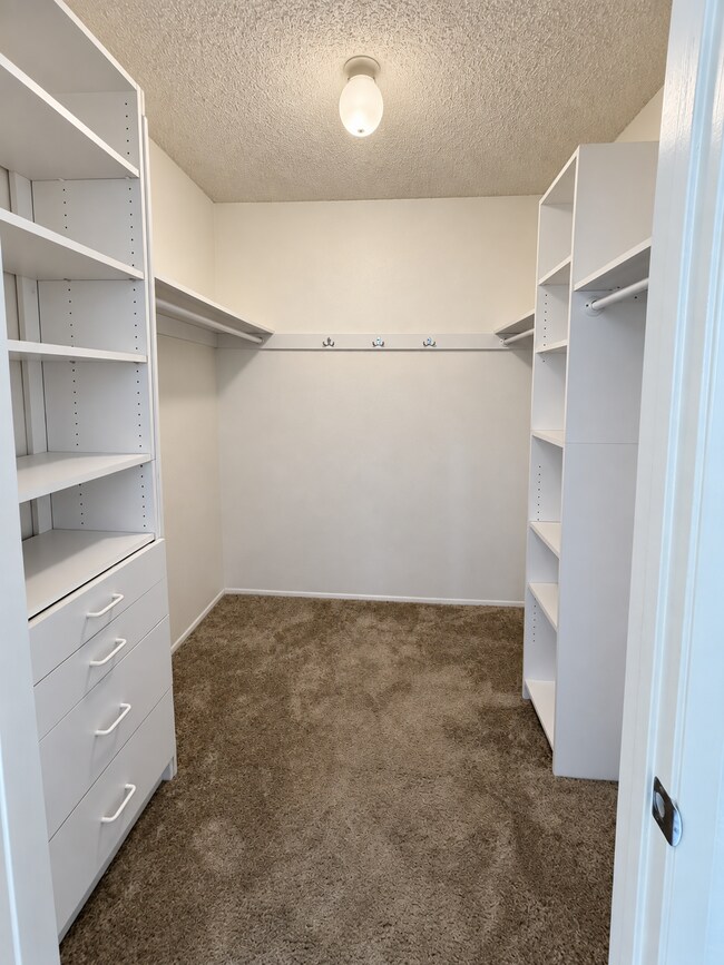 Building Photo - 4090 Rosenda Ct