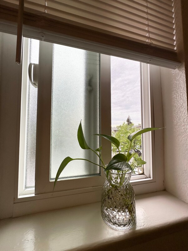 Building Photo - 1960 Grande Cir