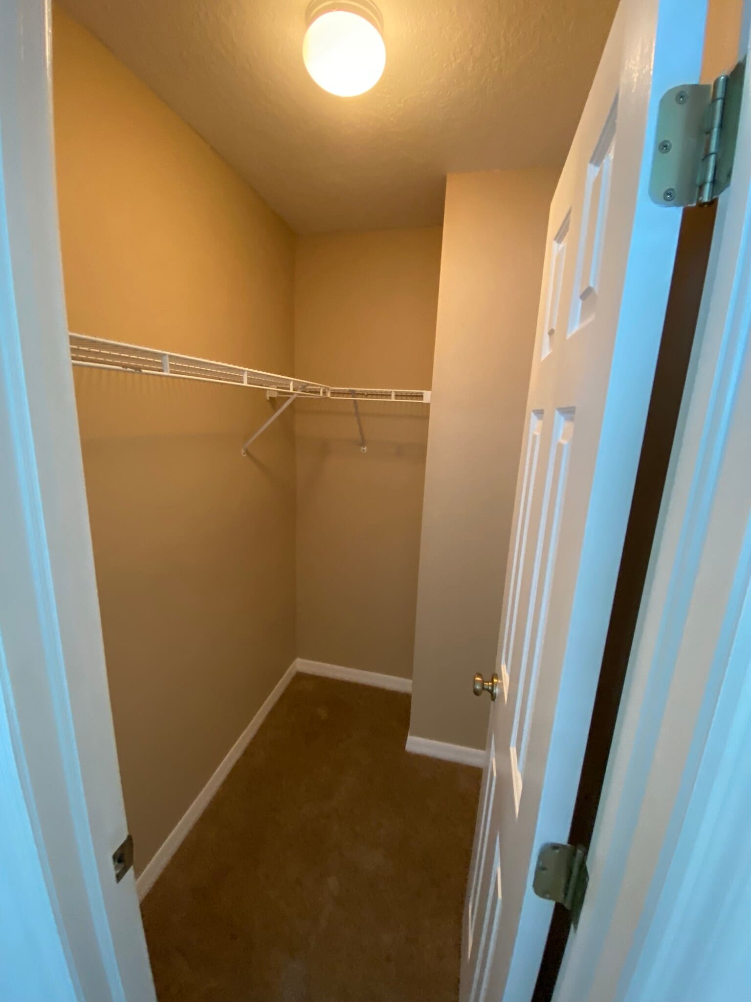 Building Photo - 12319 Country White Cir