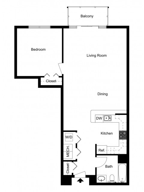 One Bedroom, One Bath - Medium - 770 Elmwood Apartments