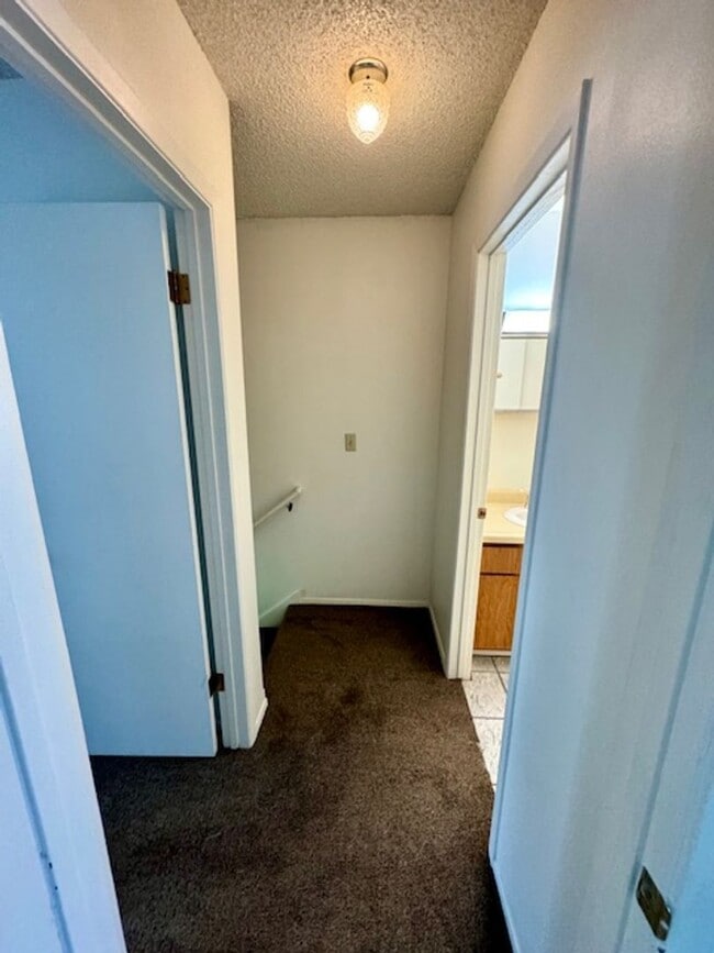 Building Photo - 2 Bedrooms 1 Bathroom-Pet Friendly