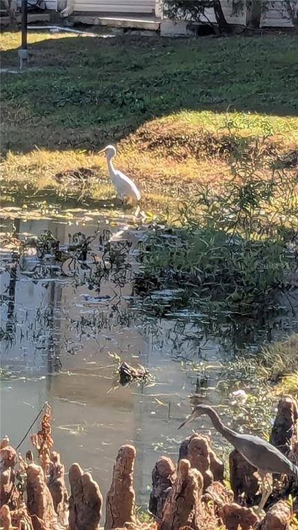 Building Photo - 1948 Lake Atriums Cir