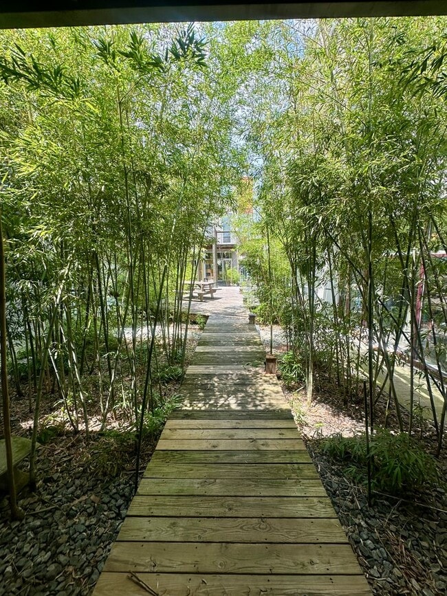 Building Photo - 2 Bed | 1.5 Bath | Starland